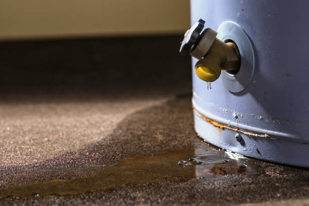 Best Sewage cleanup and water damage restoration  in Brunswick, OH