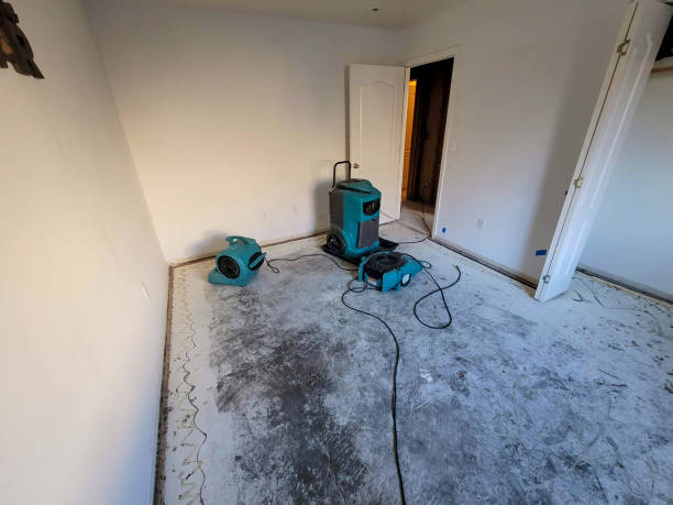 Best Residential water damage restoration  in Brunswick, OH