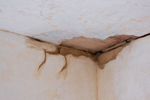 Best Flood damage cleanup  in Brunswick, OH