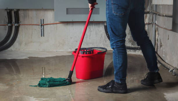 Best Mold removal after water damage  in Brunswick, OH