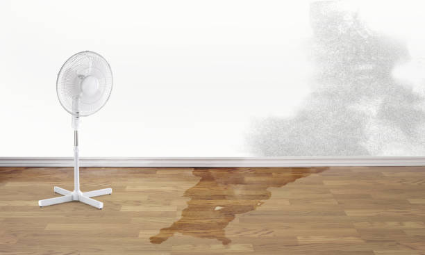  Brunswick, OH Water damage restoration Pros