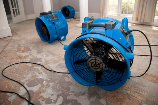 Best Water damage mitigation services  in Brunswick, OH