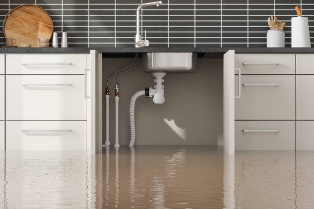 Professional Water damage restoration in Brunswick, OH