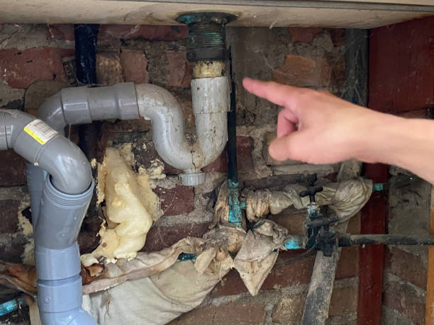 Best Commercial water damage restoration  in Brunswick, OH